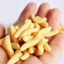 Isca Artificial de Silicone Macia com Cheiro de Larva